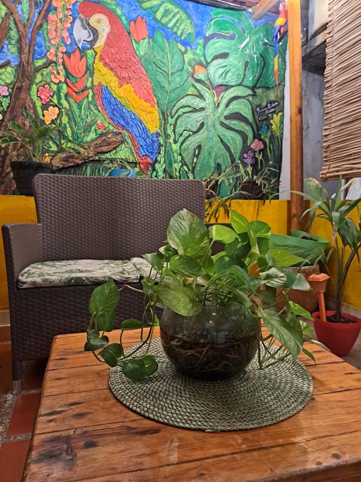 Hostel Shalom Adonai Cartagena Екстериор снимка